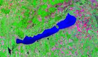 Szemetelnek, szemetelnek a Balaton-parton horgászók