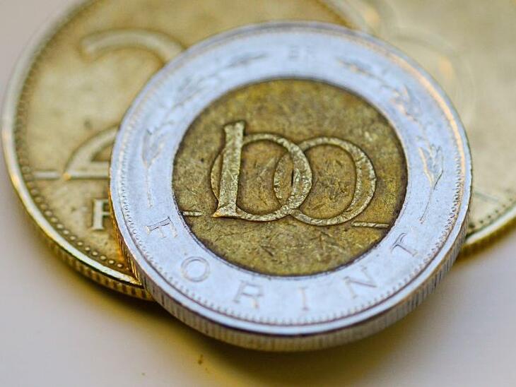 Kutya egy napja volt a forintnak