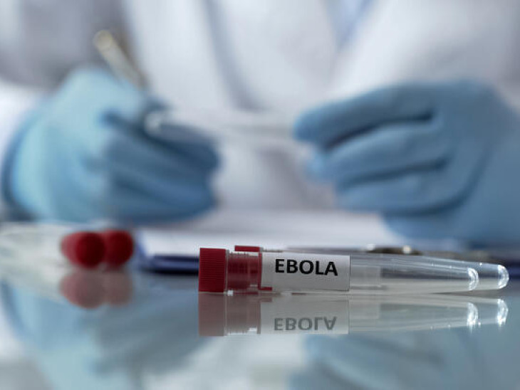 Már három ebola-vakcinán dolgoznak gőzerővel