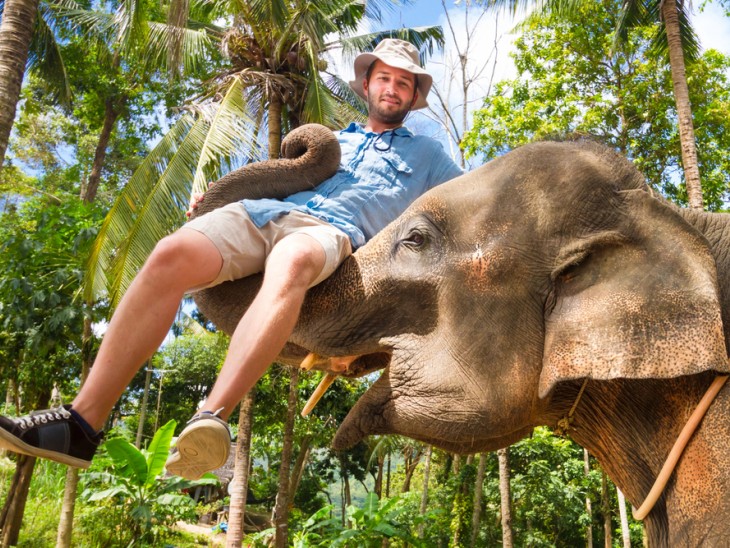 Egzotikus utazások alulnézetből: az elefántturizmus gyakran jár kegyetlenséggel 