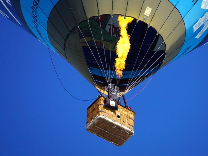 A fák az égig nőnek, vagy épp rázzuk a pofonfát?