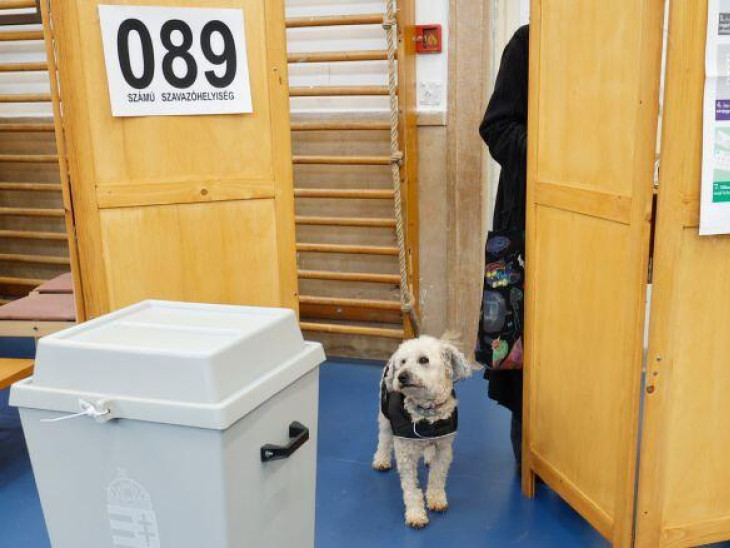 Senki ne dőljön be ennek a választási álhírnek