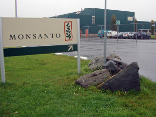 Monsanto