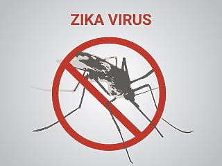 Most meg a zikavírus terjed Indikában