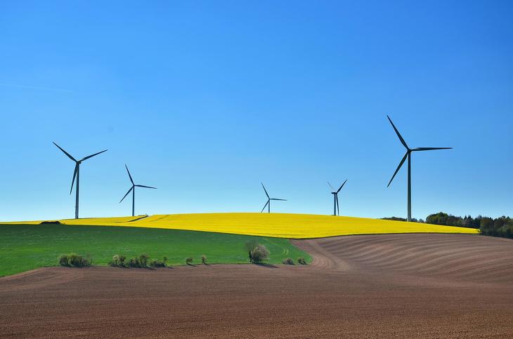 Meglöki a megújuló energiák bizniszét a mostani válság