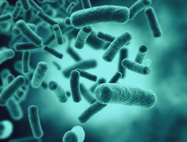 A pestis meglehetősen rettegett kór