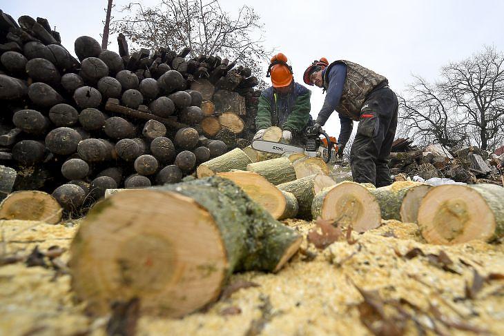 Kiderült, mik lehetnek a kormány céljai a közfoglalkoztatásban