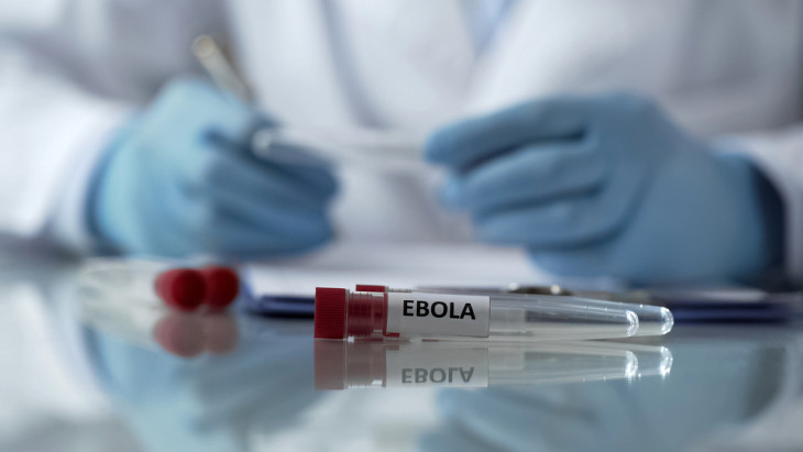Az afrikai országokban élőknek meg kellett tanulniuk együtt élni az ebolavírussal