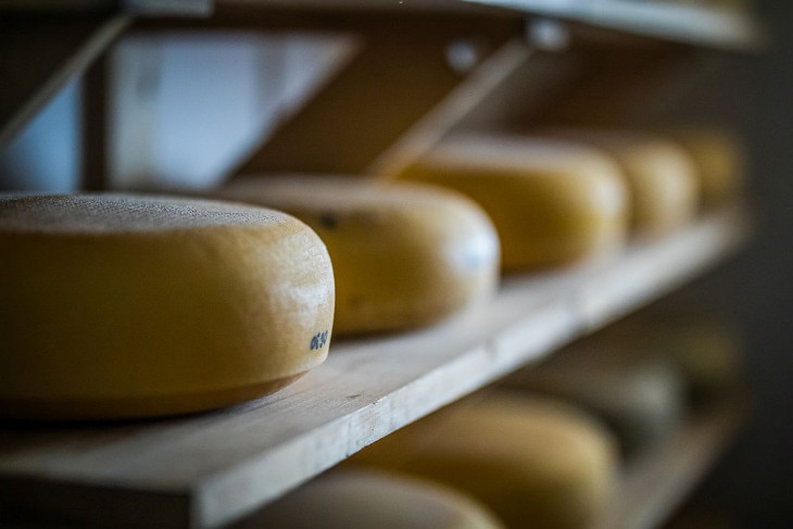 A sajtok sorakoznak a sajtműhely polcain, de a piacon mindenfajta terméknek akad hely