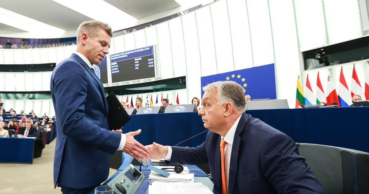 Döntött az Európai Parlament Magyar Péter mentelmi jogáról