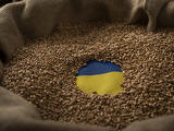 Új utat talált magának az ukrán gabona