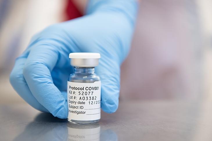 Koronavírus elleni vakcina. Fotó: EPA/OXFORD UNIVERSITY / JOHN CAIRNS