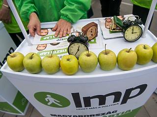 Bukás: lemondott az LMP vezetése
