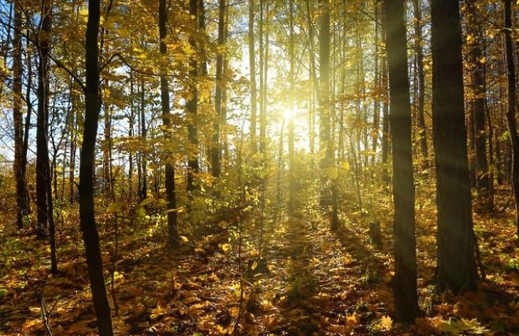 Tombol a vénasszonyok nyara – elrakhatjuk a kabátokat?