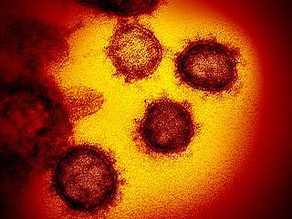 Pár hónapig tart csak a koronavírus-immunitás