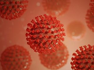 Koronavírus itthon: újabb beteg hunyt el