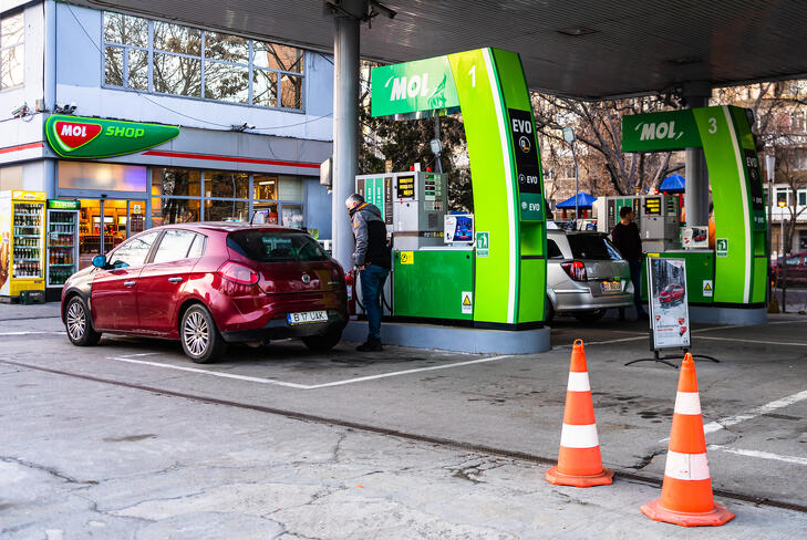 A Mol a hazai forrásokra is számít