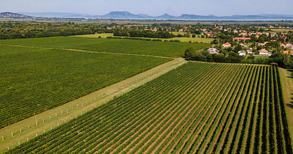 A zártkertek is felkerülnek az Otthon Start térképére
