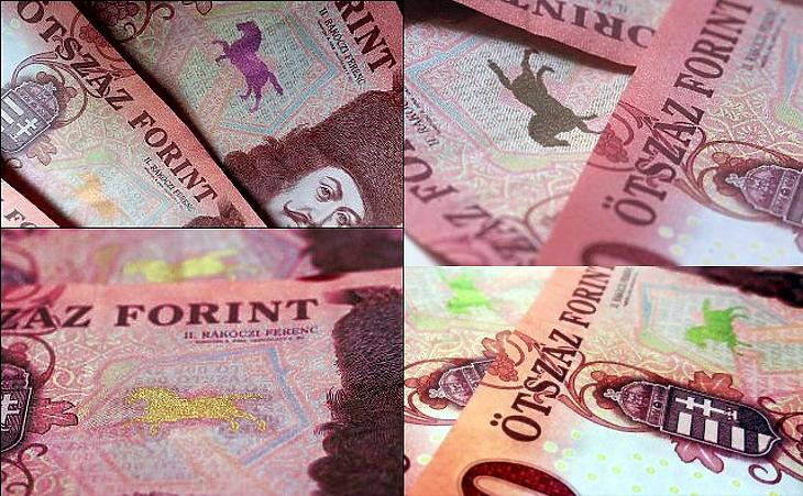 A nap képe: kaméleonló az új forinton