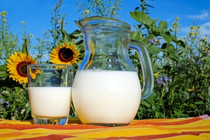 Tej és tejtermékek. Fotó: Pixabay