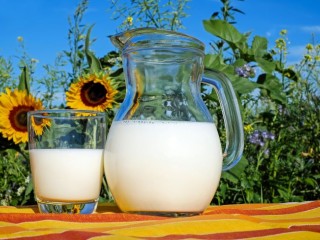 Tej és tejtermékek. Fotó: Pixabay