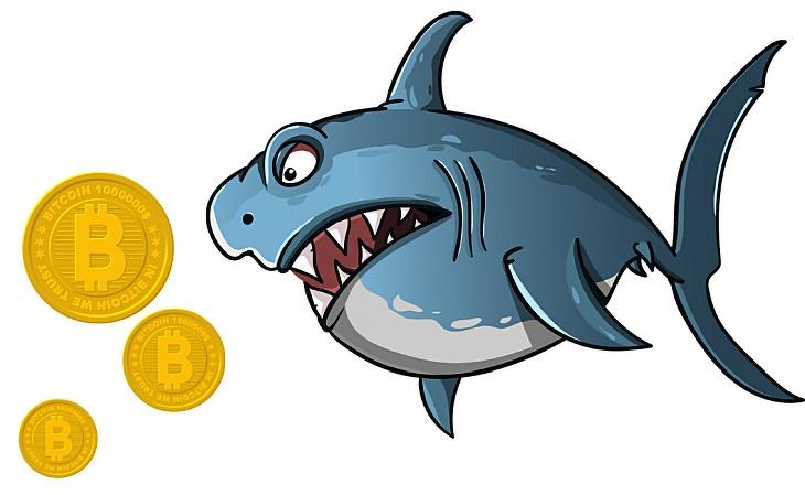 Bitcoin-cápa (Pixabay.com, Canva.com)
