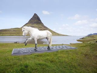 Míg nyaral, egy ló válaszol Izlandon az email-jeire