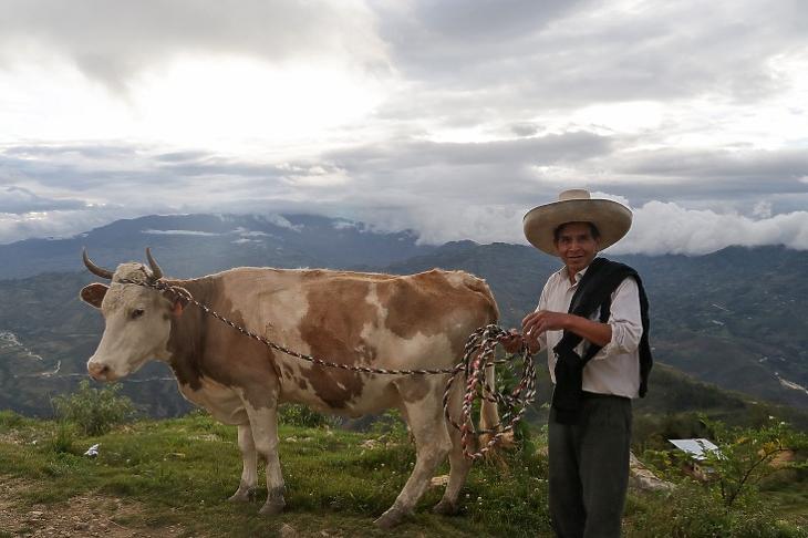Földrablás a világban – miért szállnak be egyre többen?