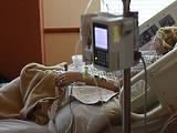 Új-Zélandi igen az eutanáziára