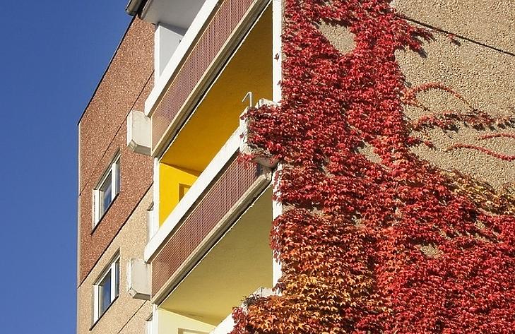 Miért veszik a panellakásokat, mint a cukrot?