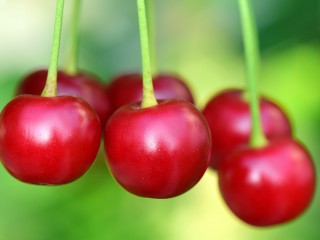 Drágább lesz 2023-ban a cseresznye. Forrás: Pixabay