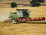 Magyarország nem kér többet az olcsó ukrán gabonából