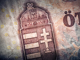 A forint
