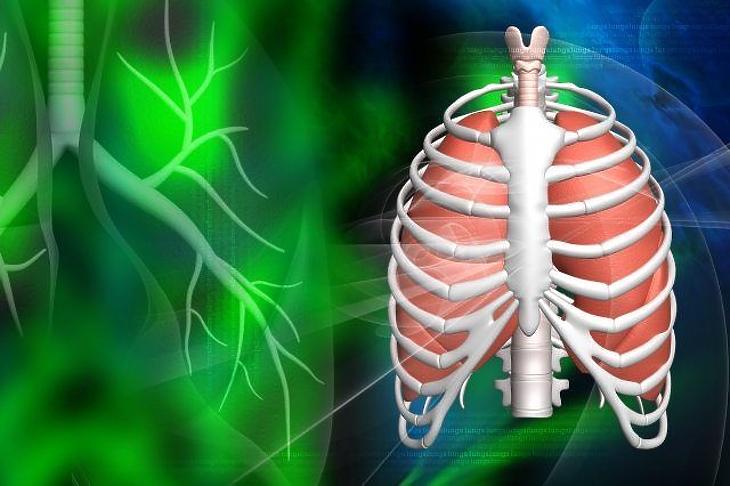 Mi a terheléses vizsgálat és miért hasznos?