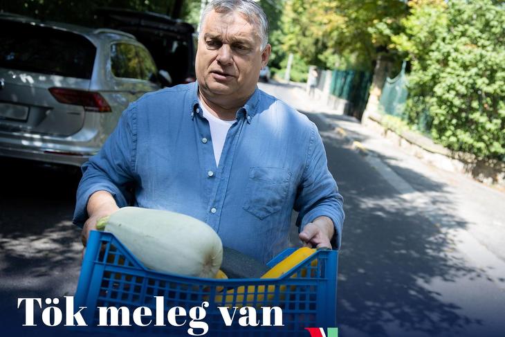 Orbán Viktor cipeli a tököt. Fotó: Facebook/Orbán Viktor 