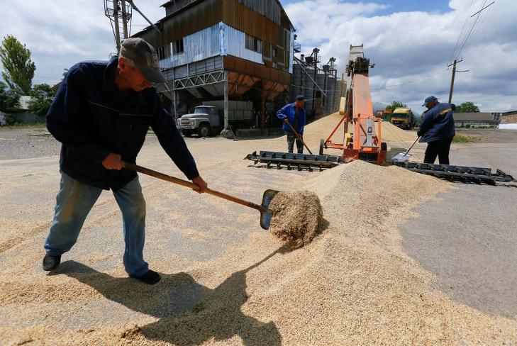 A gabonaexport egyelőre folyamatos. Fotó: MTI/EPA