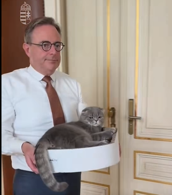 Bart De Wewer, Belgium miniszterelnöke hozza a macskáját