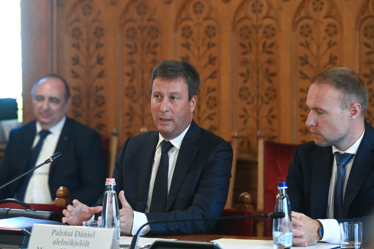 Palotai Dániel a gazdasági bizottsági meghallgatásán