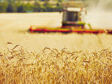 A kelet-európai uniós országok az ukrán agrárimport miatt aggódnak