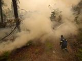 Hőség Európában:  250 hektár fenyőerdő égett le Franciaországban