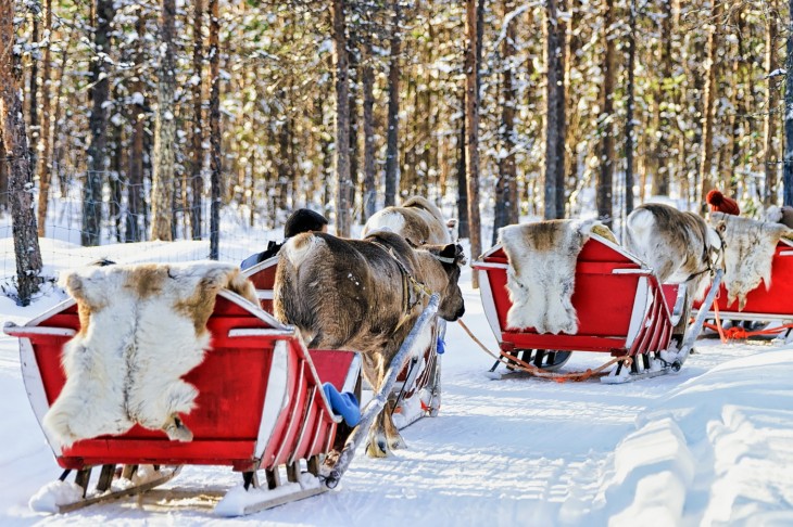 Karácsony finn módra: rénszarvasok által húzott szánok egy Rovaniemi környéki erdőben. Fotó: Depositphotos