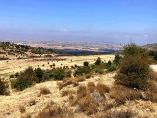 El Camino, Segovia