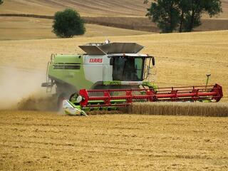Nagyot zuhant a magyar mezőgazdaság 2025-ben