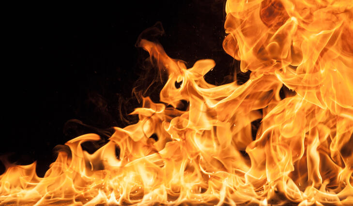 Fontos figyelmeztetést adott ki a Nébih