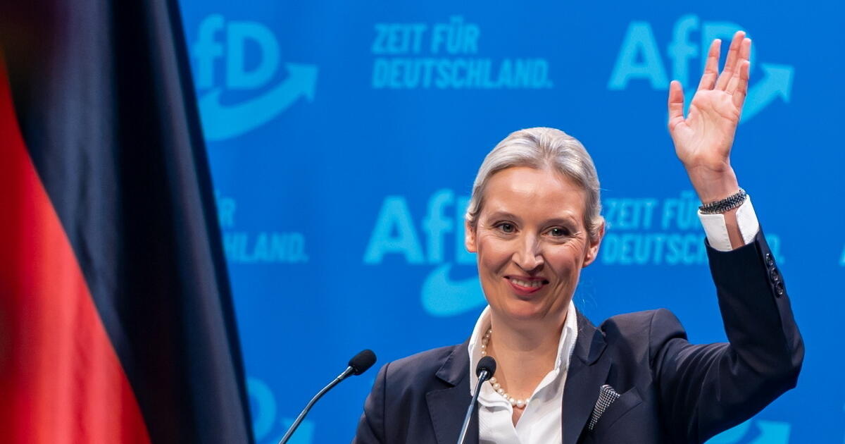 A német AfD társelnöke Orbán Viktornál járt Kép