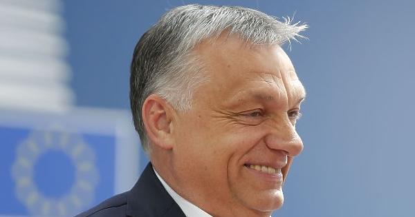 privatbankar.hu