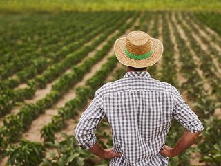 Új agrár hiteltermékkel bővül a Széchenyi Kártya Program portfoliója