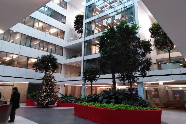 Az OTP új budapesti irodaközpontjában már rengeteg a nagy élő fa. Fotó: privatbankar/Mester Nándor