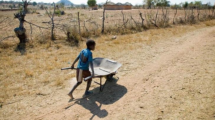 9 millióval több kiskorú kényszerülhet gyermekmunkára jövő év végéig a pandémia miatt