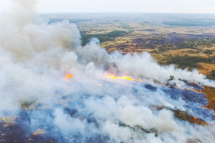 457 ezer hektár égett le eddig. Fotó: Depositphotos